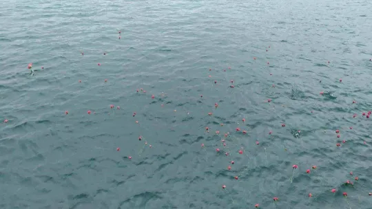 Büyükçekmece Belediye Başkanı Akgün: 'Yunan devleti Lozan Antlaşmasına sadık kalsın, başına gelecekleri tarihten hatırlasın'