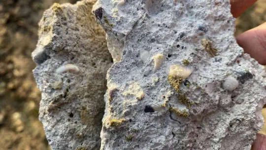 Büyükçekmece'de kentsel dönüşümü yapılan 32 yıllık binanın taşıyıcı kolonlarından deniz kabukları çıktı