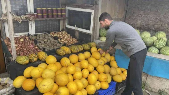 Büyükçekmece'de önce meyve sebze çaldı, sonra idrarını yaptı