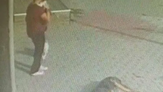 Büyükçekmece'de pencereden düşen köpeği havada yakaladı