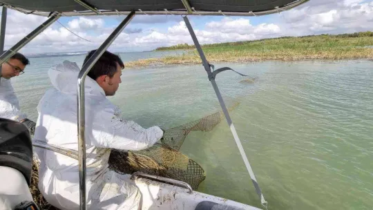 Büyükçekmece Gölü kaçak balık avcılığında kullanılan malzemelerden temizleniyor