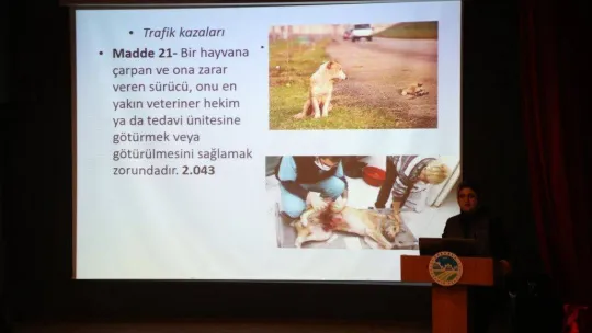 Büyükşehir'den sokak hayvanları için önemli eğitim