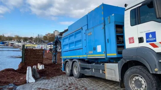 Caddebostan Sahil kırmızı yosunla kaplandı