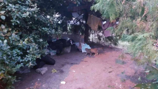 Çalılıkların arasına gizlendi, jandarmadan kaçamadı