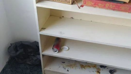 Camiye içki şişesiyle girdi, sigara içti, Kur'an-ı Kerim'e tekme attı