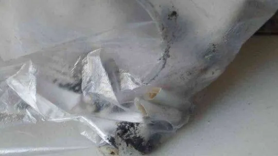 Camiye içki şişesiyle girdi, sigara içti, Kur'an-ı Kerim'e tekme attı