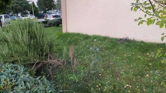 Camları silerken 4'üncü kattan düştü