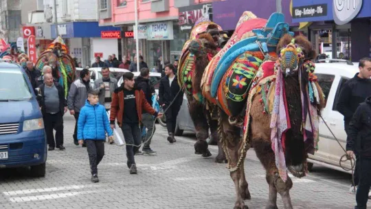 Çan'da deve güreşleri öncesi kortej yürüyüşü düzenlendi