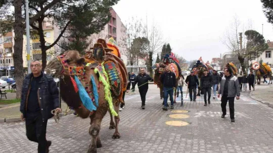 Çan'da deve güreşleri öncesi kortej yürüyüşü düzenlendi