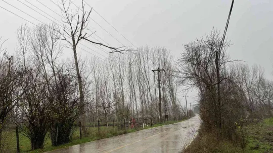 Çan'da fırtına nedeniyle ağaç dalı yüksek gerilim hattı üstüne devrildi