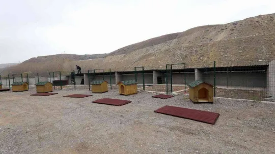 Can dostlar için yeni barınak