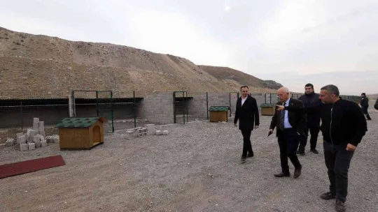 Can dostlar için yeni barınak