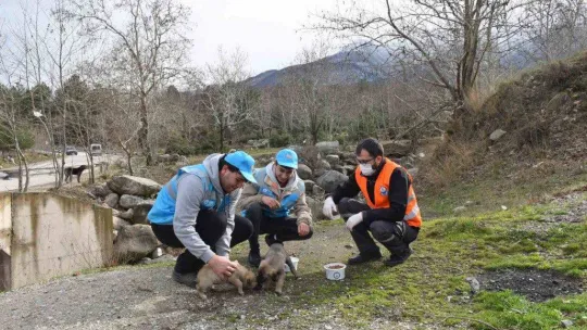Can dostlarına 'Yıldırım' şefkat