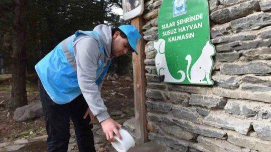 Can dostlarına 'Yıldırım' şefkati