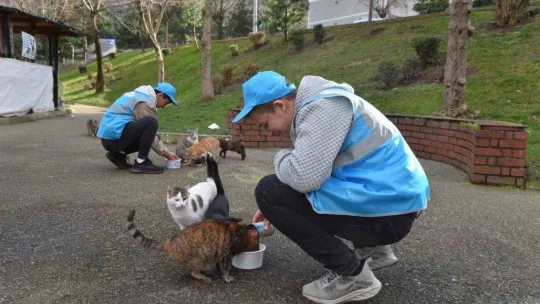 Can dostlarına 'Yıldırım' şefkati