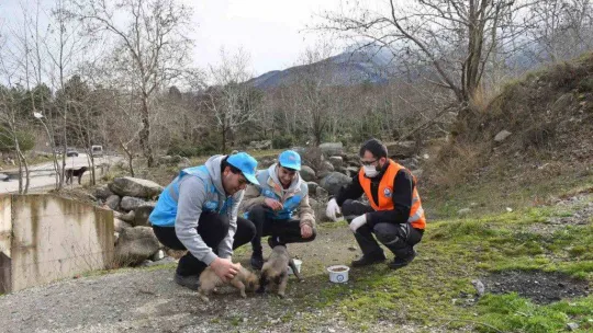 Can dostlarına 'Yıldırım' şefkati