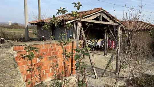 Çanakkale'de elma ağacı 2'nci kez meyve verdi