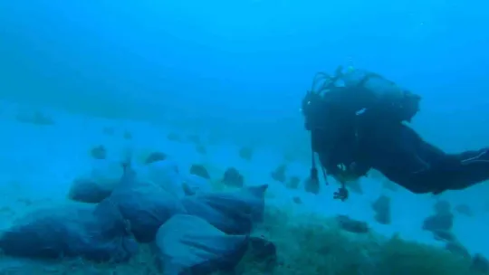 Çanakkale'de kum midyesi avlayan 6 kişiye 26 bin 147 TL ceza kesildi