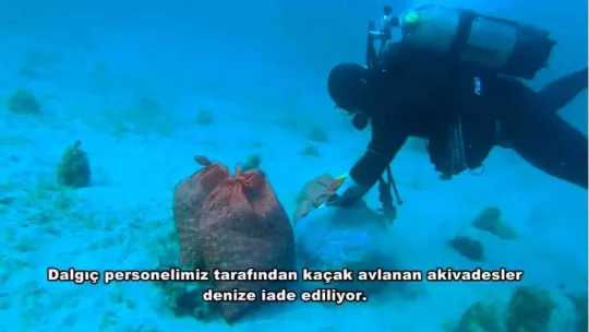 Çanakkale'de kum midyesi avlayan 6 kişiye 26 bin 147 TL ceza kesildi