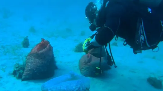 Çanakkale'de kum midyesi avlayan 6 kişiye 26 bin 147 TL ceza kesildi