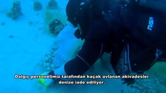 Çanakkale'de kum midyesi avlayan 6 kişiye 26 bin 147 TL ceza kesildi