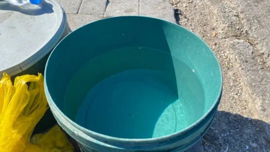 Çanakkale'de olta balıkçıları balık azlığından dertli