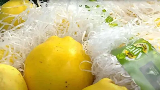 Canlı yayında tanıtıldı, kooperatif sipariş yağmuruna tutuldu