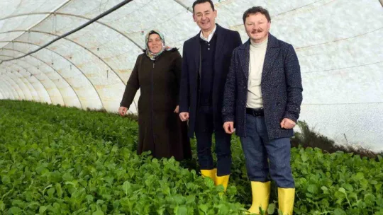 CarrefourSA'dan 'Kent Tarımı' seferberliği