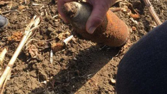 Çatalca'da ayçiçeği toplamaya giden çiftçi tarlada patlamamış top mermisi buldu