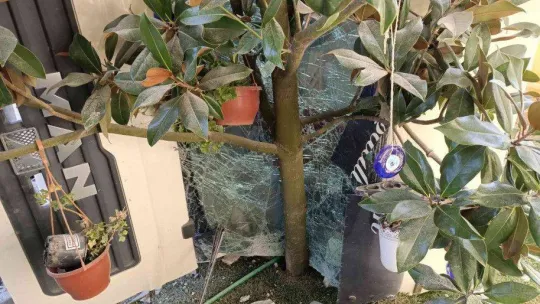 Ovayenice'de hafriyat kamyonu, villanın bahçesine uçtu