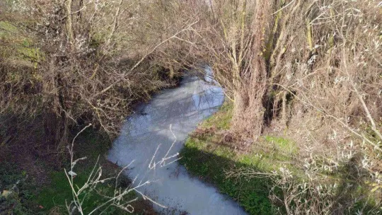 Çatalca'daki Muratbey Deresi'nin rengi kimyasal atıklardan dolayı maviye döndü