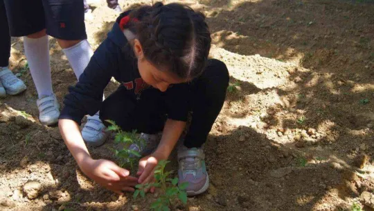 Çatıya kurdukları güneş panelleri ile okulun tüm enerjisini karşıladılar