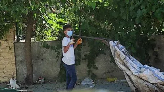 Çekçekli arabayla geldiler, bilgisayar monitörü çaldılar