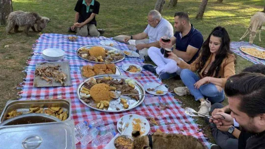 Çekmeköy'de yavru aslan ve ayıya şark sofrası kuruldu