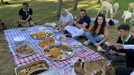 Çekmeköy'de yavru aslan ve ayıya şark sofrası kuruldu