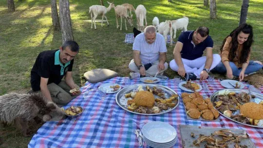 Çekmeköy'de yavru aslan ve ayıya şark sofrası kuruldu