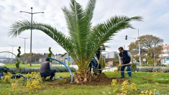 Çevre Dostu Biga Belediyesi Şehri Güzelleştiriyor