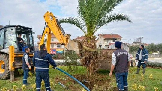 Çevre Dostu Biga Belediyesi Şehri Güzelleştiriyor