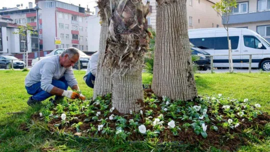 Çevre Dostu Biga Belediyesi Şehri Güzelleştiriyor