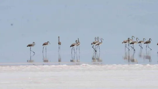 Çevre, Şehircilik ve İklim Değişikliği Bakanı Kurum: 'Çok şükür aldığımız tedbirler sonuç verdi'