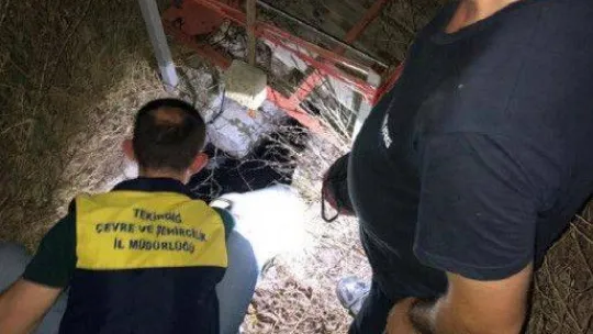 Çevreyi kirleten işletmelere 34 milyon lira ceza