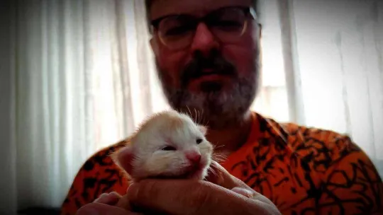 Cins kedisi tek seferde 10 tane yavruladı, büyük sevinç yaşadı