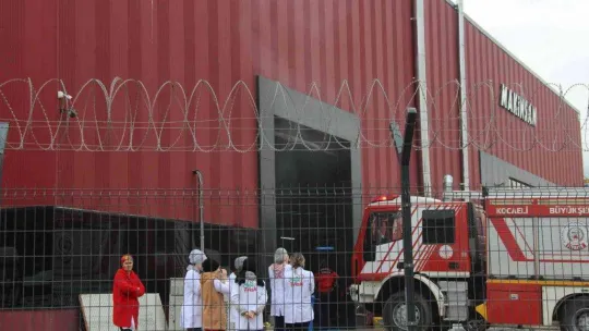 Cips fabrikasında çıkan yangın korkuttu