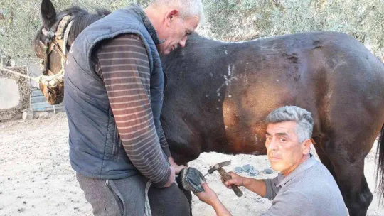 Çırak yok bu meslek bitiyor