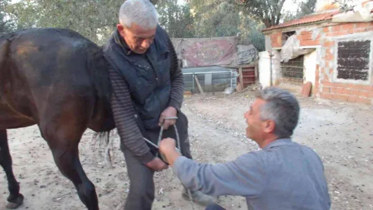 Çırak yok bu meslek bitiyor