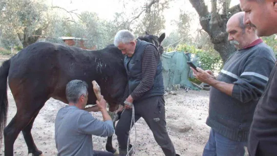 Çırak yok bu meslek bitiyor