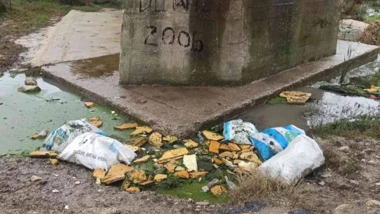 Çocukken yüzdükleri derede şimdi çöpler yüzüyor