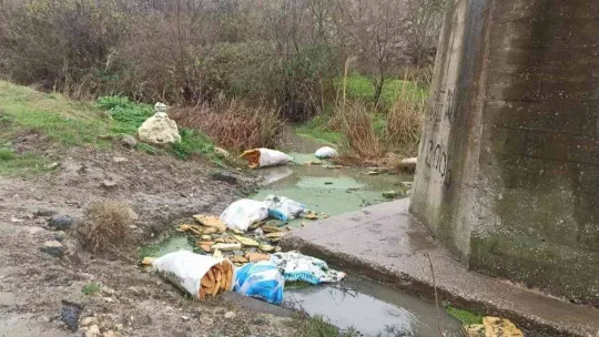 Çocukken yüzdükleri derede şimdi çöpler yüzüyor