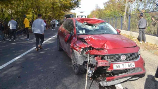 Çorlu'da can pazarı: Otomobilin çarptığı at arabası hurdaya döndü, yaralı yakınları sinir krizi geçirdi