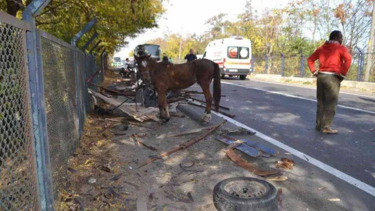 Çorlu'da can pazarı: Otomobilin çarptığı at arabası hurdaya döndü, yaralı yakınları sinir krizi geçirdi
